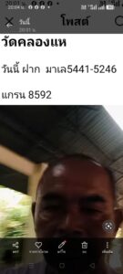 หวยมาเลย์ 3 12 68