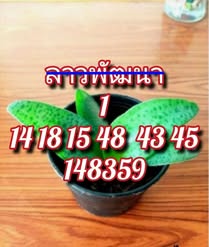 หวยลาว 26/12/68