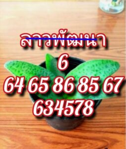 หวยลาว 19 1 69