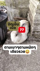 หวยหุ้น 14/1/69