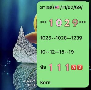 หวยมาเลย์ 11 2 69 10