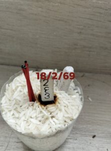 หวยลาว 18 2 69 5