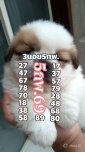 หวยฮานอย 5 2 69 5