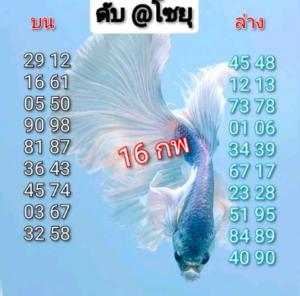 หวยโชยุ 16/2/69