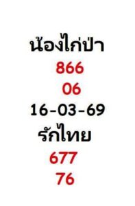 หวยน้องไก่ป่า 16/3/69