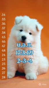 หวยฮานอย 17/3/69 ชุดที่3